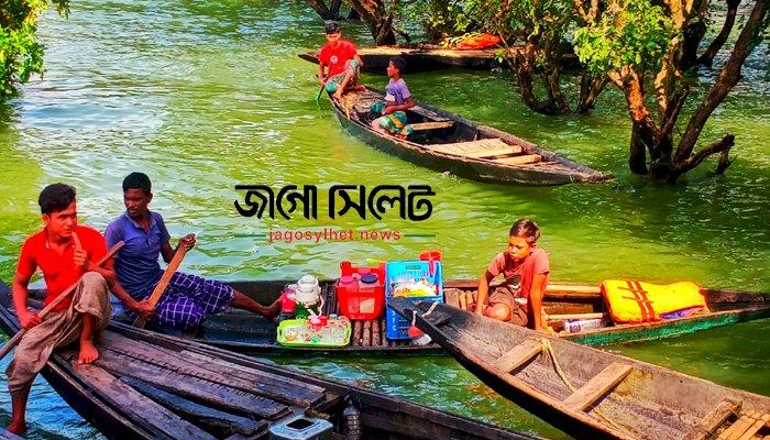 টাঙ্গুয়ার হাওরে আধাকাপ রং চায়ের দাম ১০ টাকা, তারপরও কেন জনপ্রিয়