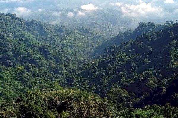 সন্ত্রাসীদের অতর্কিত হামলায় দুই সেনা নিহত, আহত ২